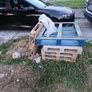 pallets and wheel barrow Image 5