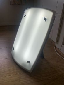 Daylight Lamp