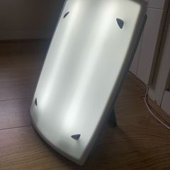 Daylight Lamp