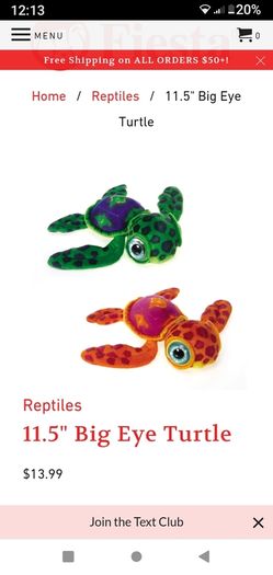 Bigeye turtle teddy (Fiesta)