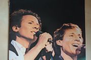 Simon Garfunkel live central park 2lp vinyl
