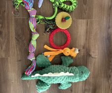 dog toys free