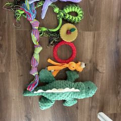 dog toys free