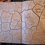 Burning Man - Art On Fire - Signed By Jennifer Raiser - Hardcover Image 4