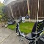 Recumbent Trike Image 2