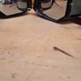 Hyundai ioniq 5 2022-on wing mirrors Image 2