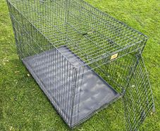Dog crate