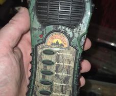 electronic caller