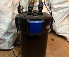 betta fish tank filters