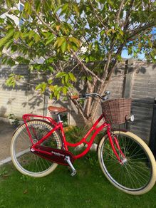 ladies bike
