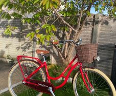 ladies bike