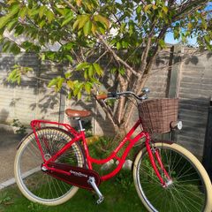 ladies bike