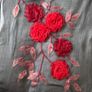 Wrap/Scarf Image 5