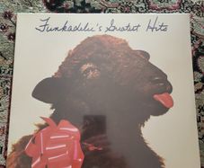 Funkadelic - Greatest Hits LP