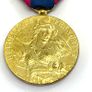 Vintage Bronze Artillery French National Defence Medal Image 3