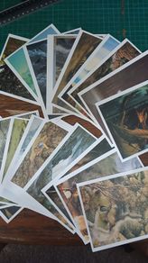 Very Rare Tolkien's Glory Lord of the Rings Postcards