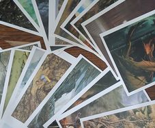 Very Rare Tolkien's Glory Lord of the Rings Postcards