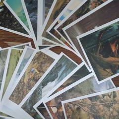 Very Rare Tolkien's Glory Lord of the Rings Postcards