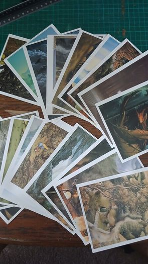 Very Rare Tolkien's Glory Lord of the Rings Postcards