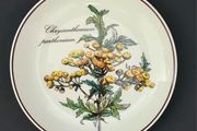 Villeroy &amp; Boch Botanica Chrysanthemum Plate, Vintage Floral Porcelain