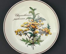Villeroy & Boch Botanica Chrysanthemum Plate, Vintage Floral Porcelain