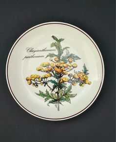 Villeroy & Boch Botanica Chrysanthemum Plate, Vintage Floral Porcelain