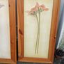 Beautiful Set of 2 Large Flower Pictures Image 5
