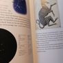 Simple Stargazing / Anton Vamplew / 2007 Image 9