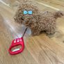 Walking toy puppy Image 4