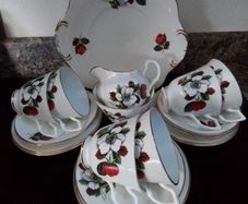 Regina 21 piece China Teaset