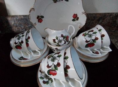 Regina 21 piece China Teaset