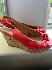 Coral Wedges