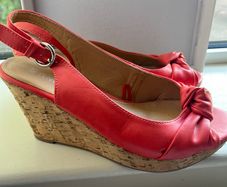 Coral Wedges