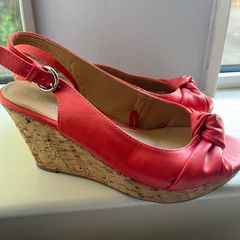 Coral Wedges