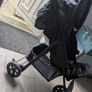 Buggy Image 2