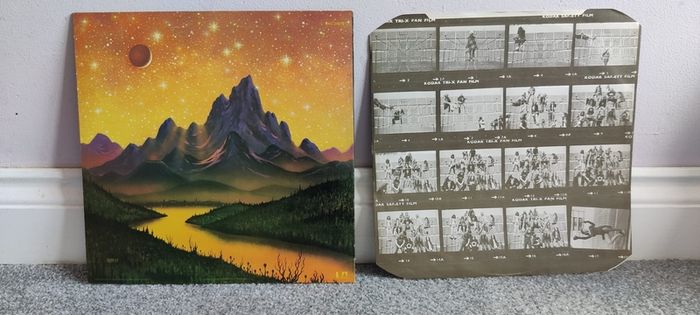 LP ' Vinyl Record - Hawkwind - Hall of the Mountain Grill