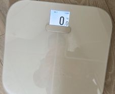 Body weight scale