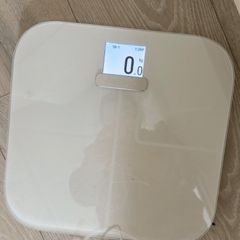 Body weight scale