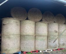 Hay