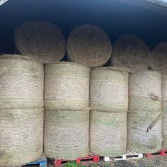 Hay
