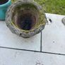 Concrete Plant Pots Image 3