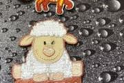 Clothing decoration for kids