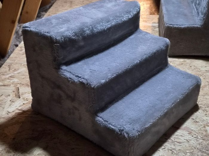Cat Steps