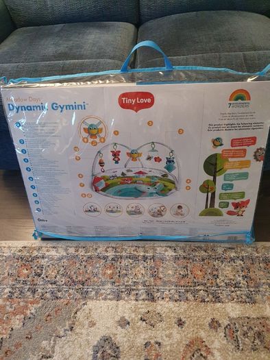 Last chance! Baby Gym (in perfect condition)