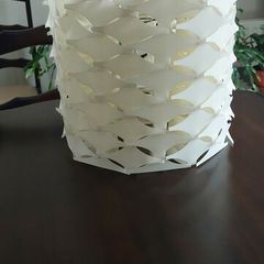 Ceiling Lampshades