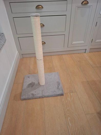 Cat scratching post new