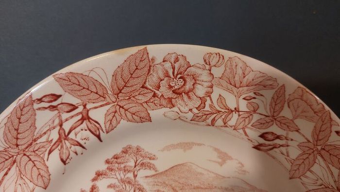 Fabulous Vintage Arklow Pottery Pink and White 9 Inch Wall Plate in an Classic Style Country Landscape Scene with a border of Hedgerow Plants