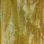 Pale lemon bridesmaids dress or debs gown with shawl. Image 3