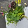 XL flower pot Image 5