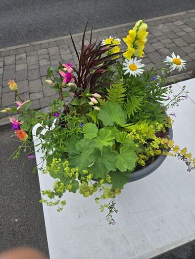 XL flower pot